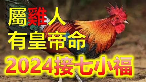 屬雞適合的生肖|屬雞出生年份/幾多歲？屬雞性格特徵+生肖配對+2024。